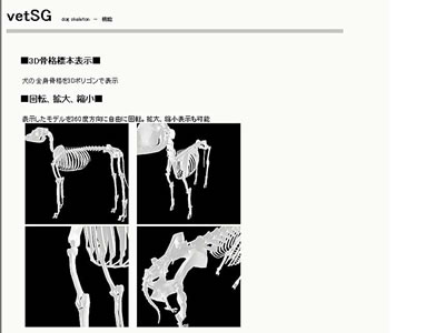 uDog Skeleton@ihbOXPgjv@i