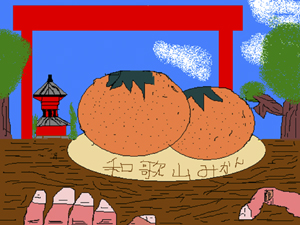 和歌山のみかん