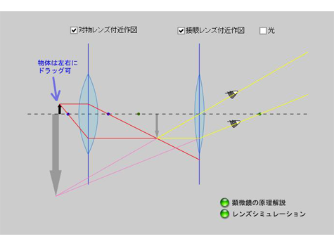 顕微鏡の原理シミュレーション